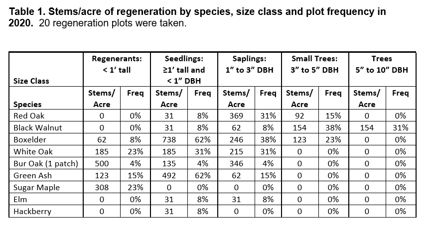 Stems/acre of regeneration by species, size class, and plot frequency in 2020.