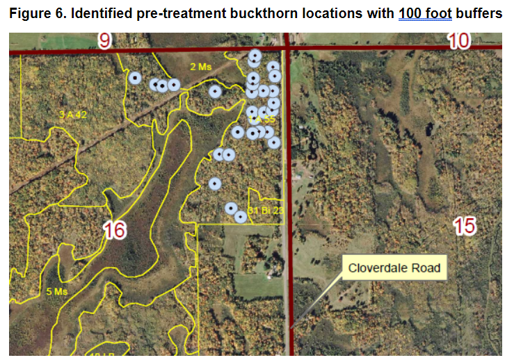 Identified pre-treatment buckthorn locations with 100 foot buffers.