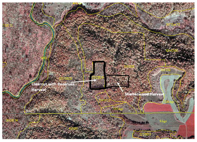2013 color infrared aerial photo showing case study treatment area boundaries 