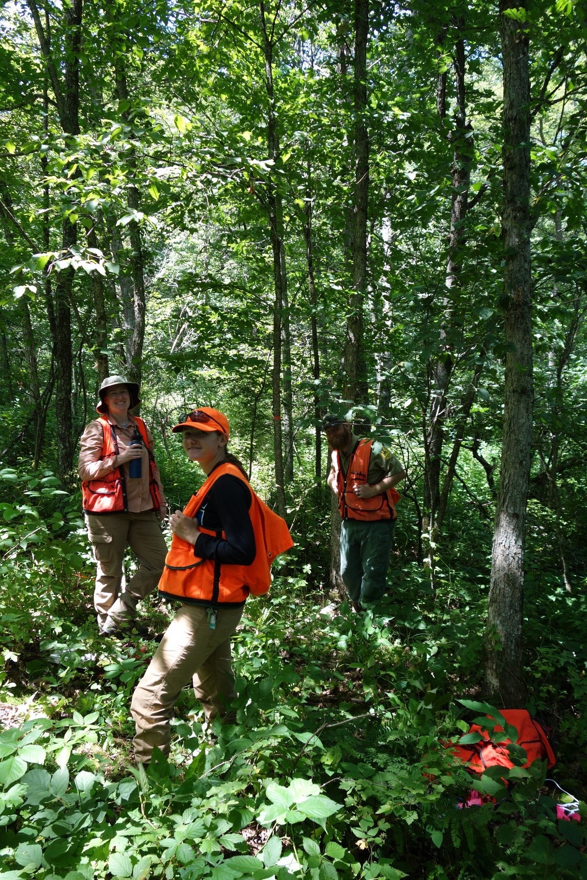 ECS Specialist Michelle Martin, Forester Dan Kuttschied and Forestry Intern Elizabeth Reeves in a typical portion of the stand in the summer of 2020