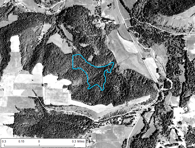 August 1940 air photo of site and the surrounding area with site boundary outlined in blue
