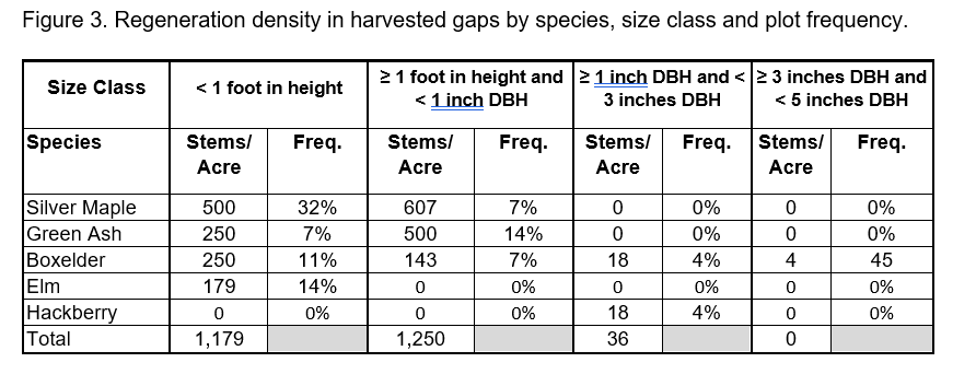 Regeneration density in harvested gaps by species size class and plot frequency.