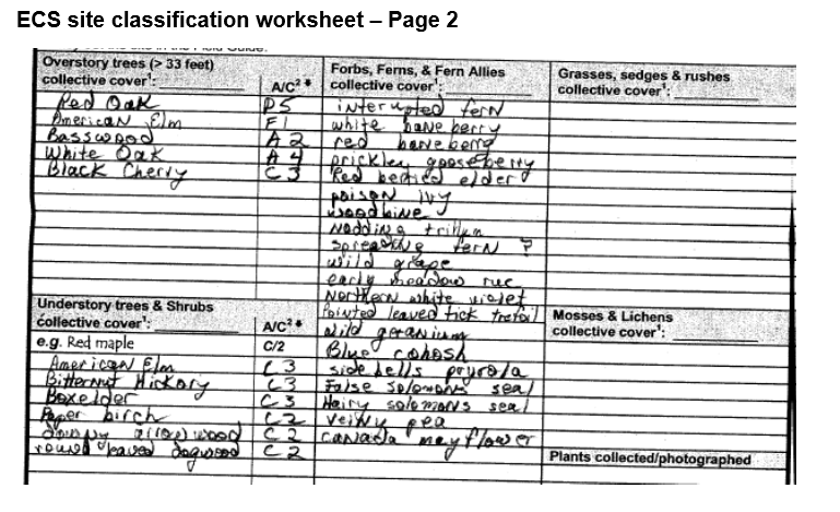 ECS site classification worksheet, page 2