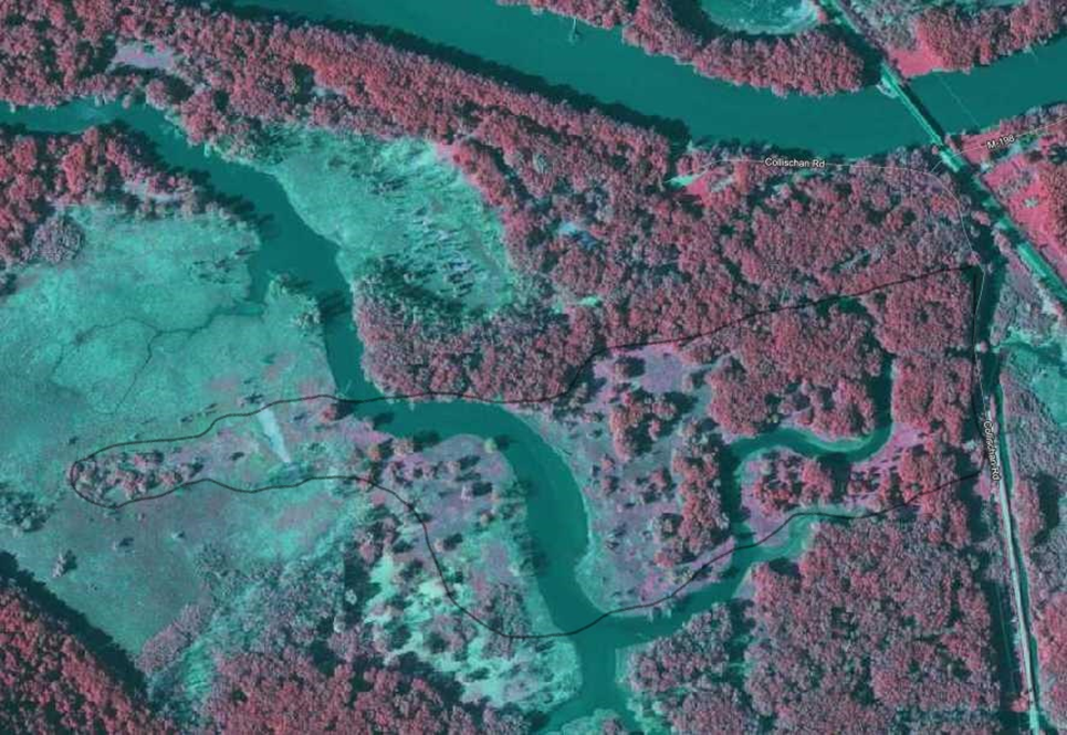 Color IR of site and surrounding area