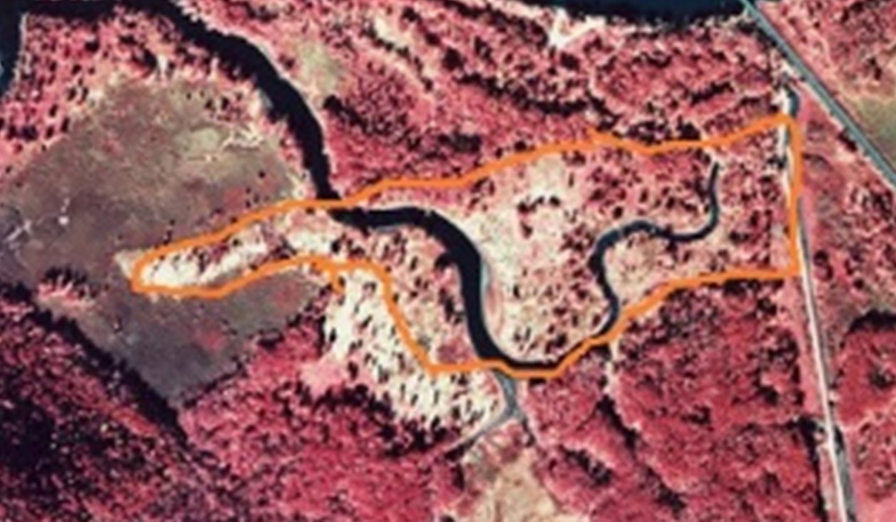 2000 color IR aerial photo of study site and surrounding area.