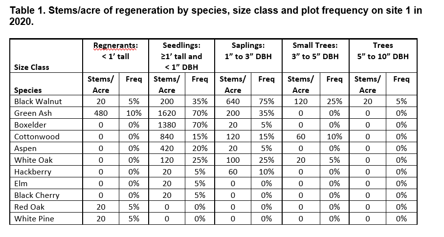 Stems/acre of regeneration by species, size class, and plot frequency on site 1 in 2020.