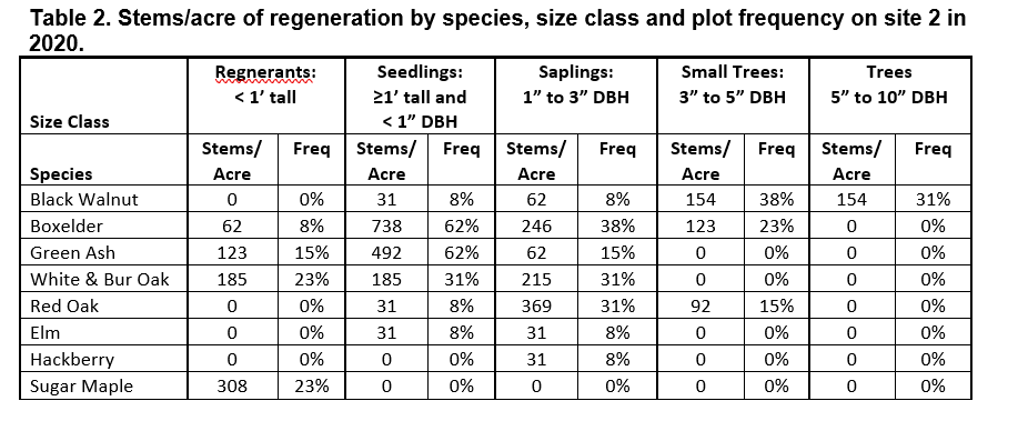 Table 1: Stems/acre of regeneration by species, size class, and plot frequency in site 2 in 2020.