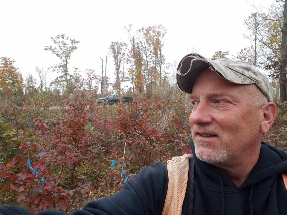 Retired DNR forester Doug Hecker shows released oak seedlings.