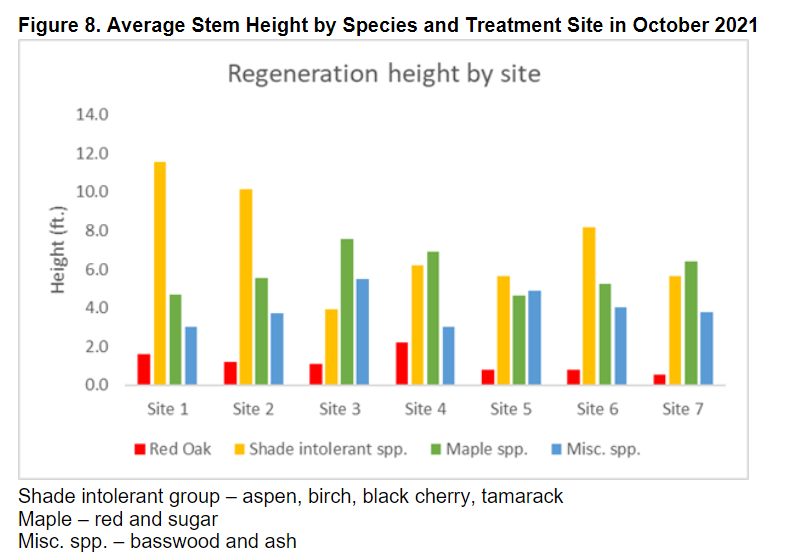 Average stem height by species and treatment site in October 2021. 