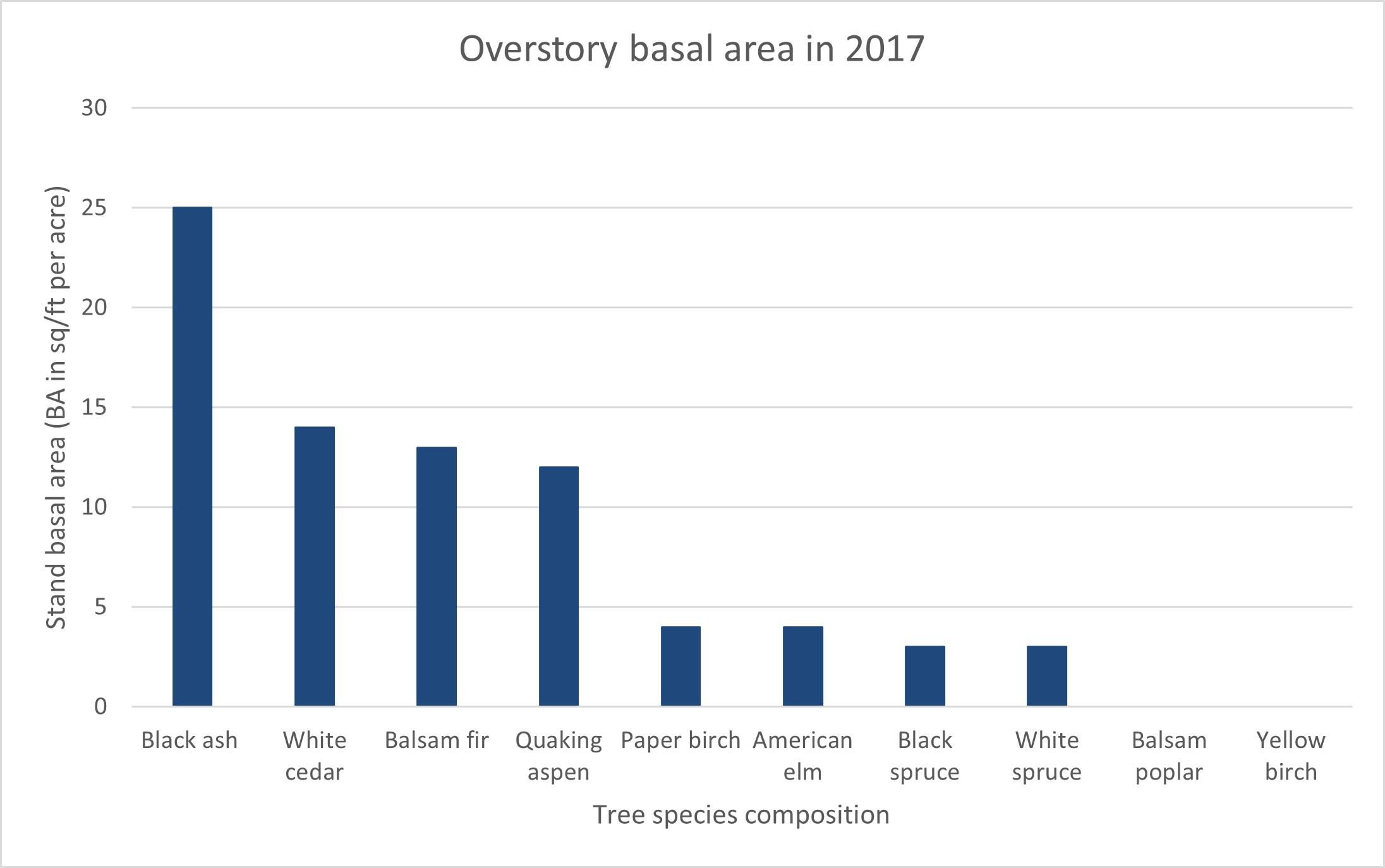 Overstory BA in 2017.