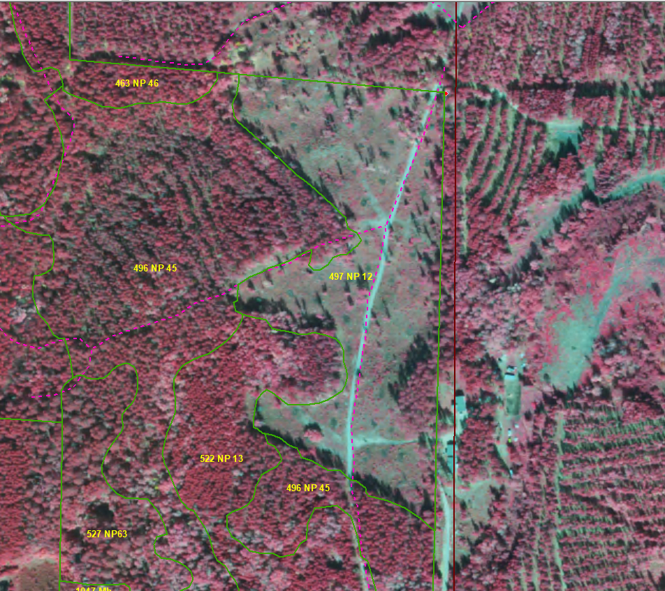 Color infrared aerial photo of stand area. 