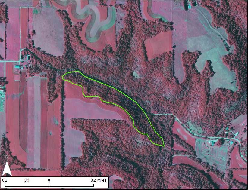 2019 color IR aerial photo with the project area delineated in green.