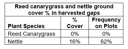 Reed canarygrass and nettle ground cover percentage and plot frequency in harvested gaps.