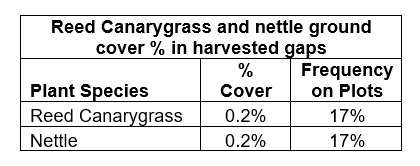 Reed canarygrass and nettle ground cover percentage and plot frequency in harvested gaps.