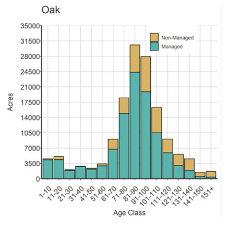 Oak forest type acres by age class and management status on MNDNR administered forest lands as of 2022