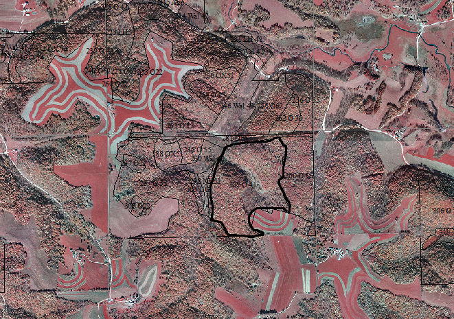 Color infrared aerial photo of case study site and surrounding area