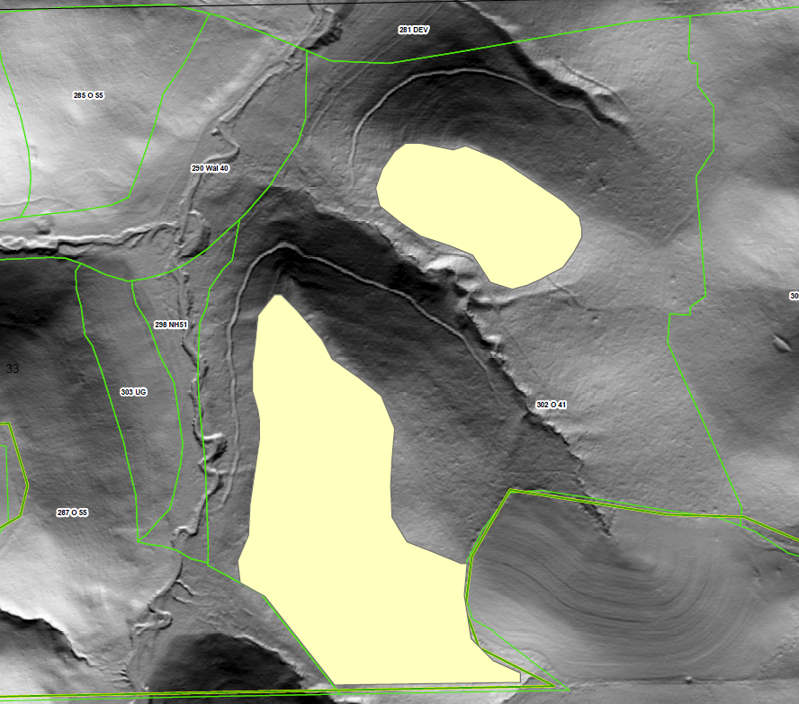 Lidar image showing areas not underplanted in yellow. Area underplanted has gray shading, inside the orange boundary. 