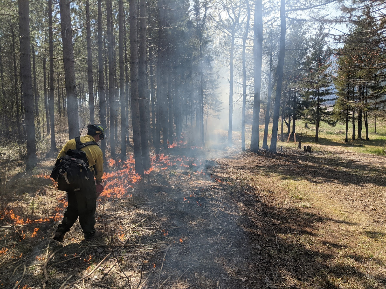 A prescribed fire steward ignites understory fuels along the northwest burn unit perimeter. Photo by Kyle Gill, May 17, 2022.