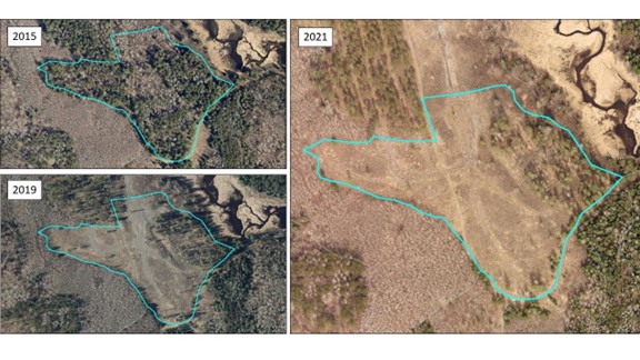 FDn33 Mixedwood case study stand boundary over Carlton County imagery from 2015, 2019, and 2021. The white spruce retention group is noticeable on the east side of the stand in both the 2019 and 2021 images. In the 2019 image, shadows identify scattered spruce retention elsewhere.