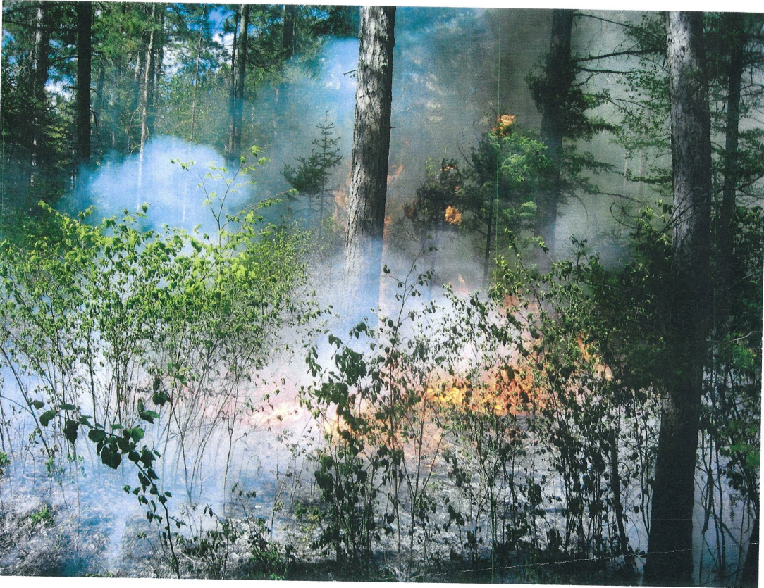 A prescribed burn in progress on one of the case study sites