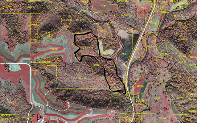 Color infrared aerial photograph of case study site (outlined in black) and surrounding area.