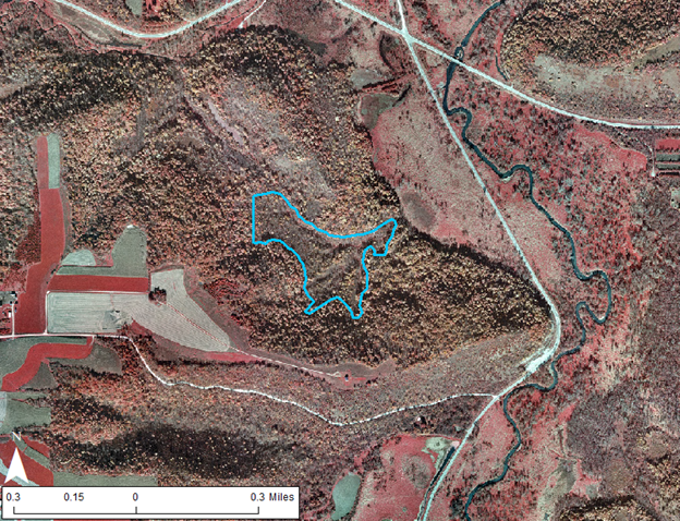 2016 color infrared aerial photo showing case study site and surrounding area with study site shown with blue boundary