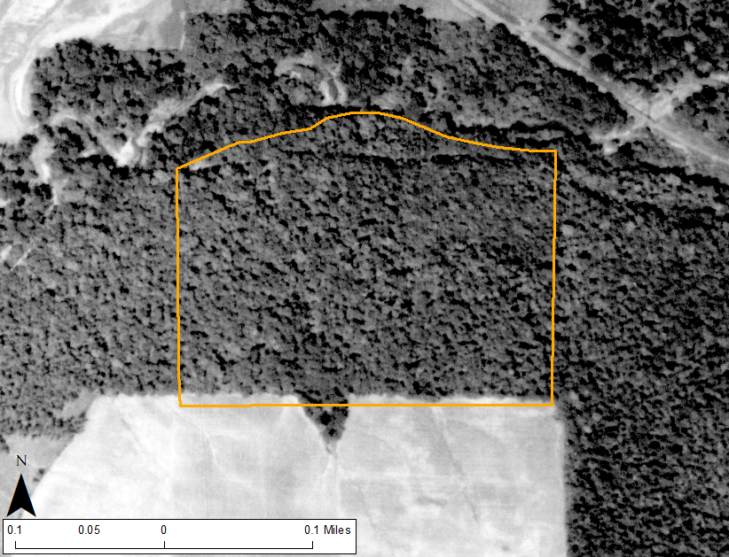 Site boundary outlined in orange over 1938 air photo 