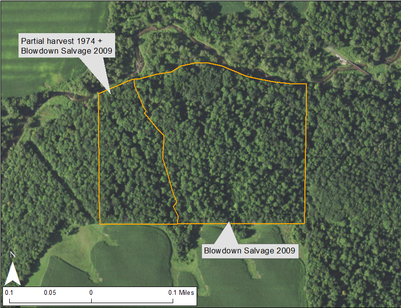 Site boundary outlined in orange over 2019 FSA Color air photo. The western most portion of this site had a partial harvest in 1974 and a blowdown salvage harvest in 2009.  The eastern 2/3rds of the site had only a thinning and blowdown salvage harvest in 2009. The entire site experienced a patchy blowdown event in 2008.