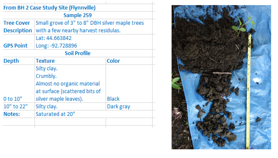 Soil notes and sample photo from the Flynnville site