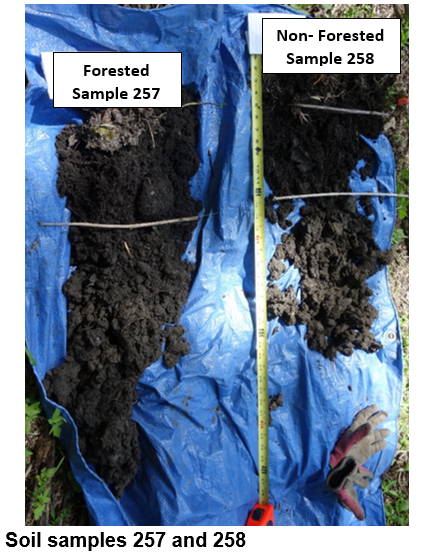 Soil samples 257 and 258 from the Vermillion River boat landing site