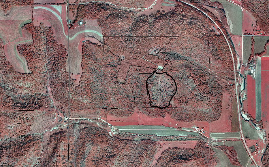 Color infrared aerial photograph of study site (heavy black outline) and surrounding area