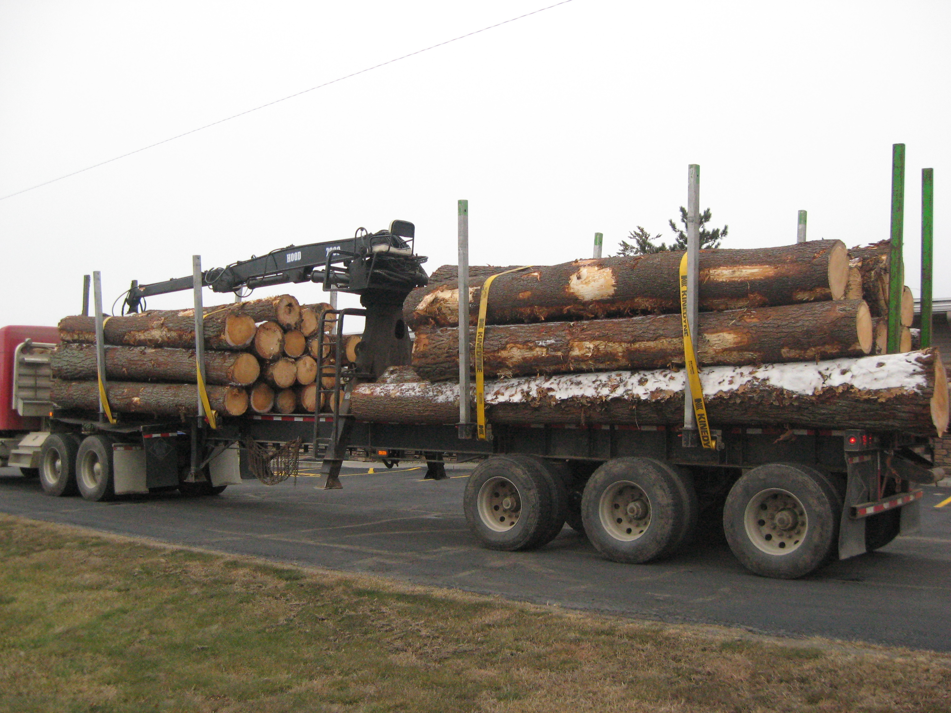 Pine logs from the harvest operation in 2018