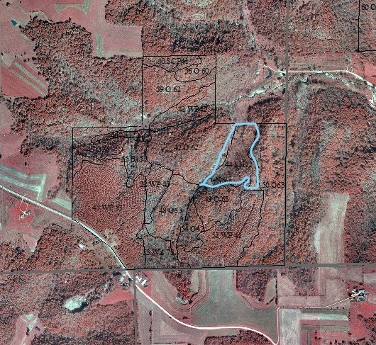 Color infrared aerial photo of project site and surrounding area