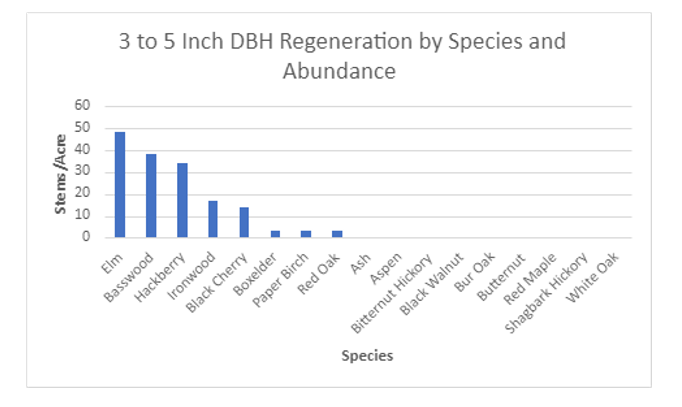Elm, basswood, and hackberry are most prevalent.