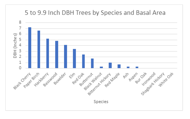 Black cherry, paper birch, and hackberry are most prevalent in the 5 to 9.9 inch class.