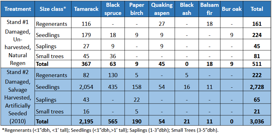 Tamarack and black spruce comprise the majority of regenerants in both stands.
