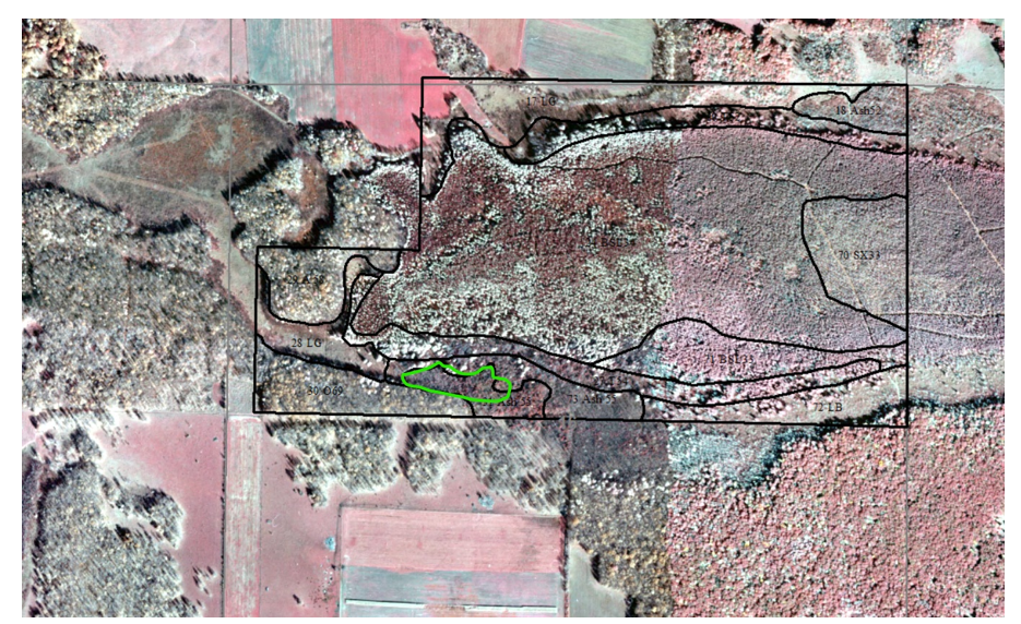 A 2019 color IR aerial photo of study site and surrounding area including the study site boundary outlined in green and state ownership boundaries in black.