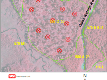 Color infrared airphoto of study site showing white pine cluster planting locations