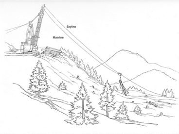 Artist sketch of one type of hi-lead cable logging system. Source: Cable Logging Operations, USDA Forest Service