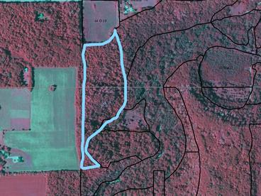 2019 color infrared aerial photo showing the study site outlined in blue